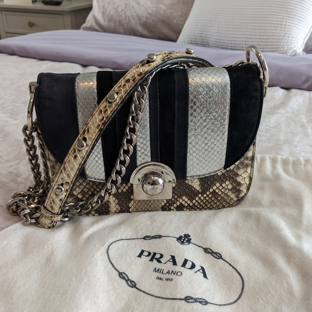 Prada Python & Ayers Arcade Bag - image 1